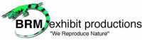 BRM exhibit productions Lizard Logo